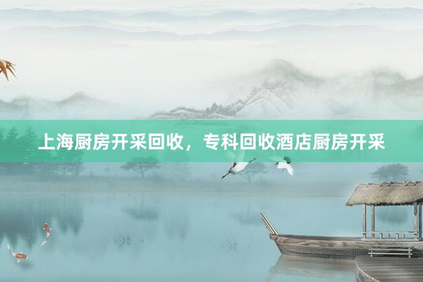 上海厨房开采回收，专科回收酒店厨房开采